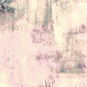 Meet your Posher, Colleen